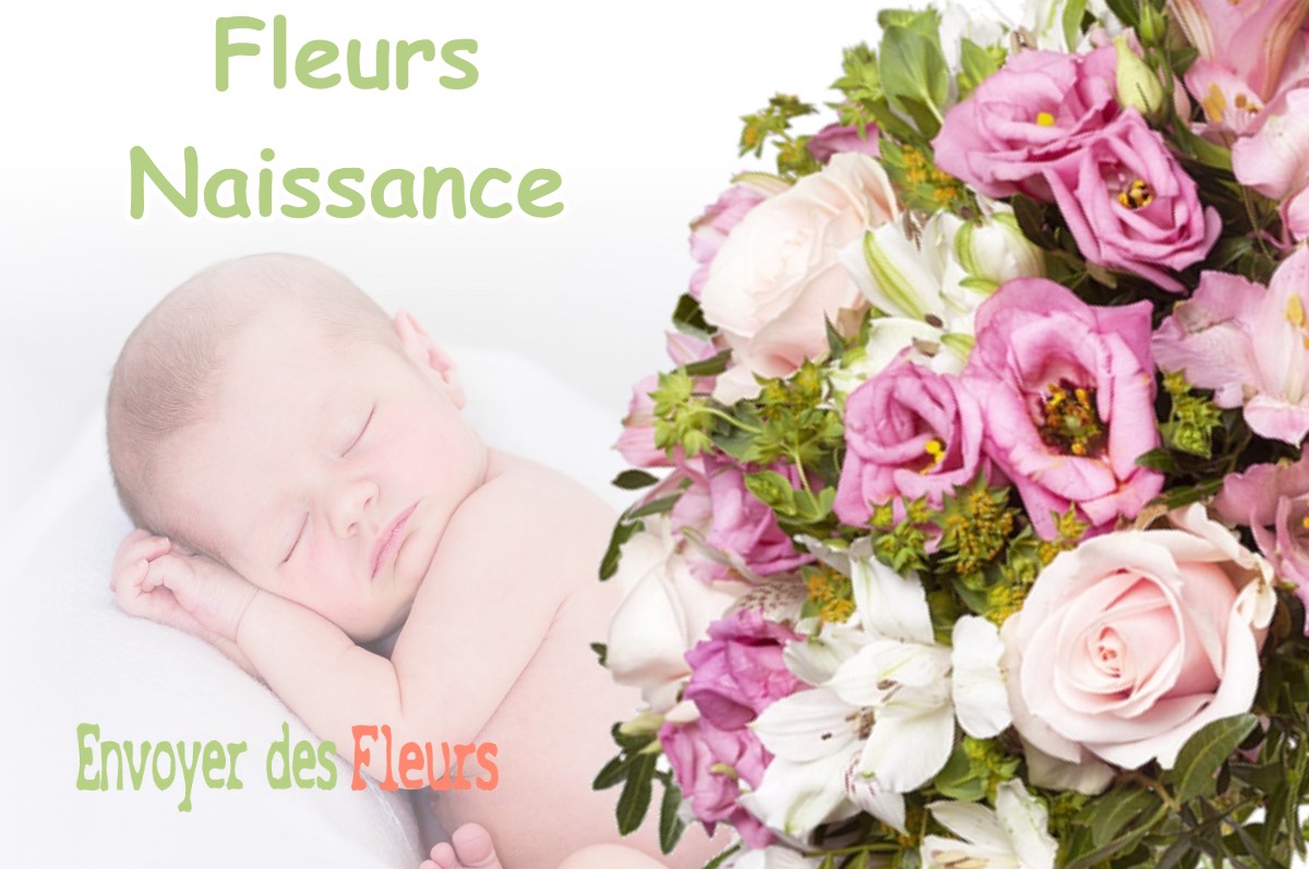 lIVRAISON FLEURS NAISSANCE à BRANGUES